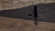 Jjk Jujutsu Kaisen GIF