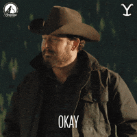 Paramount Network Ok GIF by Yellowstone