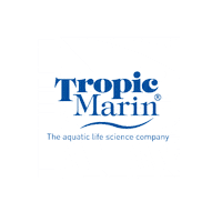 Sea Fish Sticker by Tropic Marin