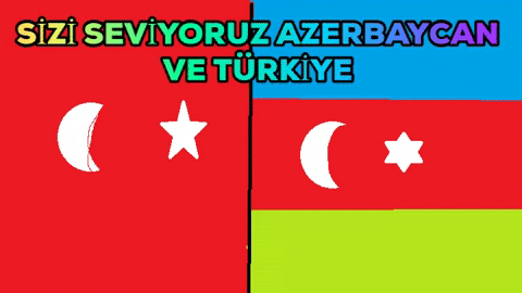 RUMEYSA_12 giphygifmaker türkiye yanındayız GIF
