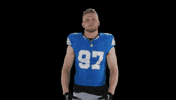Nfl No GIF by Detroit Lions