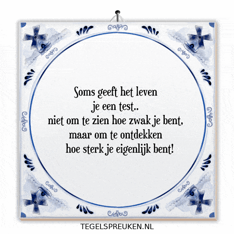 Test Humor GIF by Tegelspreuken.nl