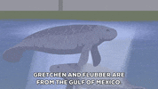 water swimming GIF by South Park 