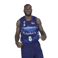 Liga Endesa Basketball Sticker by ACB