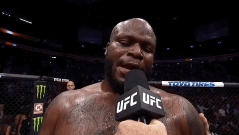 ufc 229 sport GIF by UFC