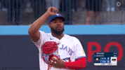 Blue Jays Sport GIF by MLB