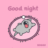 toffersdoggo dog night sleep good night GIF