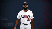 Pro GIF by USA Baseball
