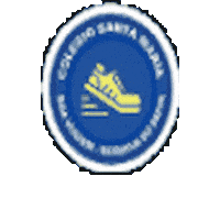 colegiostamaria esporte educação colegio santa maria colegiostamaria Sticker