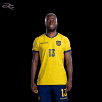 Fifa World Cup Ecuador GIF by Respective