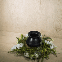 art celebrate GIF by tarninabarn