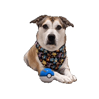 Pokeball Sticker by Geekster Pets