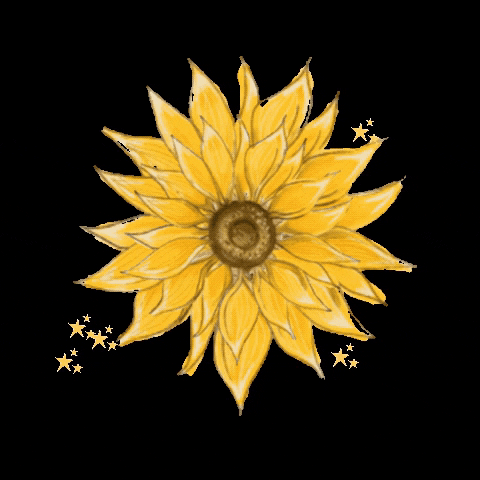 hollyjacksonartgifs giphygifmaker giphyattribution sunflower hollyjacksonart GIF