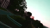 Molly Floyd GIF
