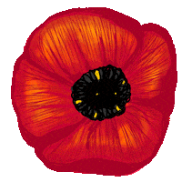 Remembrance Day Flower Sticker