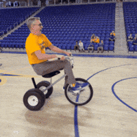 Panthers GIF by UNI Athletics