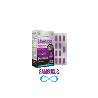 Elderberry Sticker by Zade Vital