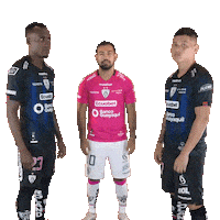 Football Sport Sticker by INDEPENDIENTE DEL VALLE
