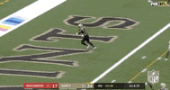Regular Season Football GIF by NFL