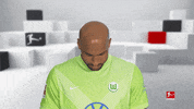 Vfl Wolfsburg Smile GIF by Bundesliga