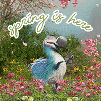 Hay Fever Flowers GIF by Dodo Australia