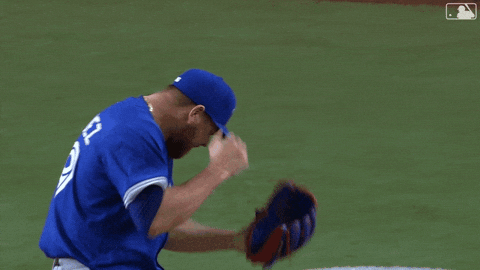 Blue Jays Baseball GIF by Toronto Blue Jays
