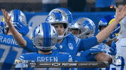 Detroit Lions Football GIF by NFL