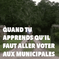 Parti_socialiste vote election elections ps GIF