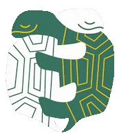 Turtle Love Sticker