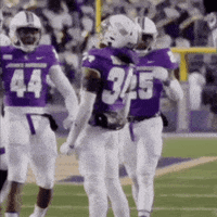 Football Celebrate GIF by JMUDukes