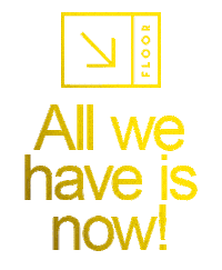 FLOORBrasil floor floorbsb floorbrasilia floor brasilia Sticker