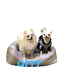 아르르 Sticker by arrr_official