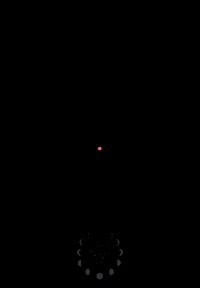 AIRYVISION magic girl power wolves witches GIF