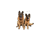 Sticker Dogs Sticker