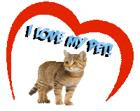 Guinea Pig Love Sticker