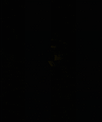 WadiDeglaClubs wadi degla wadi degla clubs وادي دجلة أندية وادي دجلة GIF
