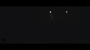 San Remo Video GIF by TheFactory.video