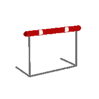 Athletics Stv Sticker by Rheintaler Turnfest 2022