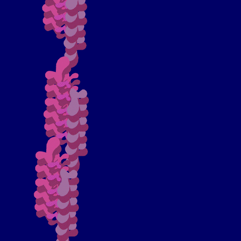 art loop GIF