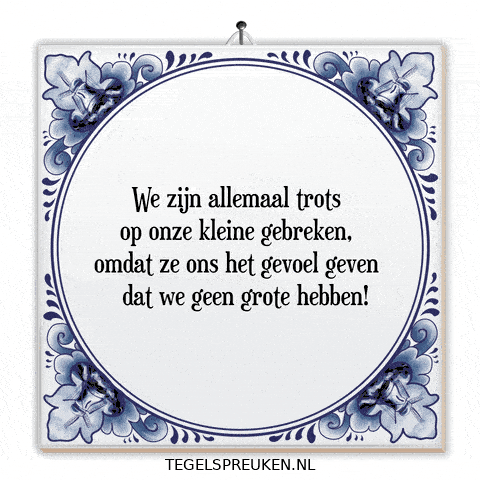 Humor Nl GIF by Tegelspreuken.nl