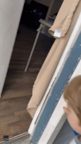Adorable 4-Year-Old Overjoyed to Welcome New Puppy