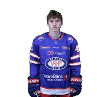 Goal Scoring Sticker by VIF Hockey