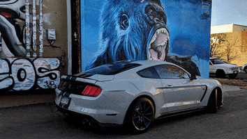ColoradoCarsAndCoffee mustang shelby gt350 GIF