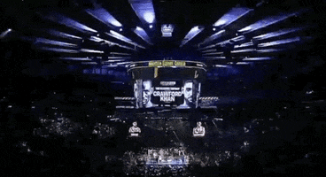 toprank boxing fighting espn fighters GIF