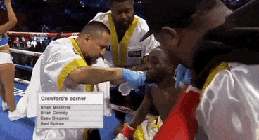 toprank boxing fighting espn fighters GIF