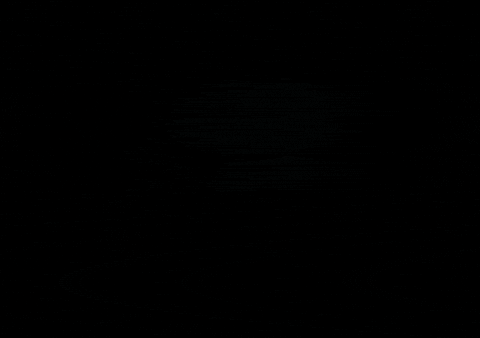 FreeTreeOpenair giphygifmaker free tree free tree festival free tree open air GIF