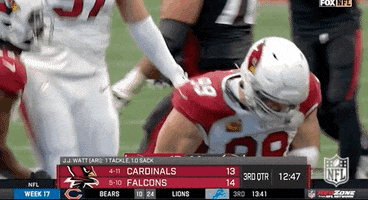 Football Sport GIF by NFL
