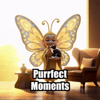 Pets Love GIF by BuddhaFlyJourney