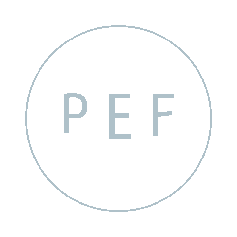 NYSPUBLICEMPLOYEESFEDERATION union union strong pef nys pef Sticker