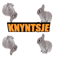 bunny fries Sticker by Omrop Fryslân